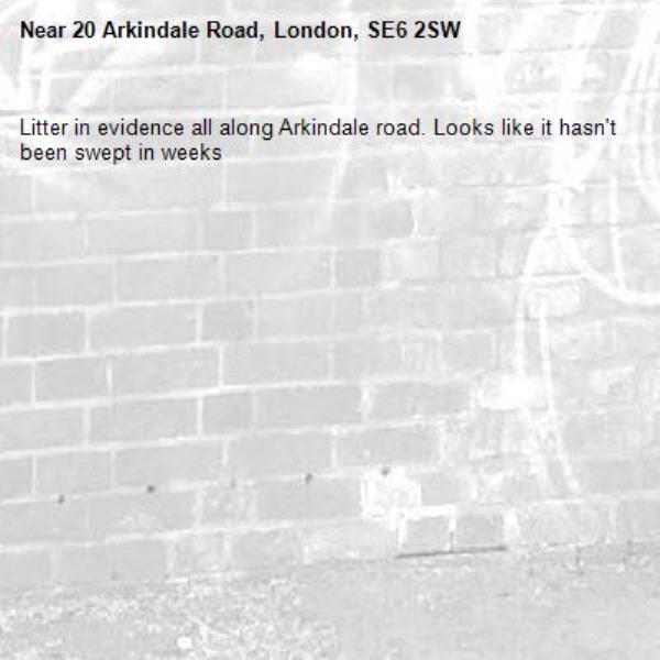 Litter in evidence all along Arkindale road. Looks like it hasn't been swept in weeks -20 Arkindale Road, London, SE6 2SW