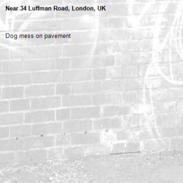 Dog mess on pavement-34 Luffman Road, London, UK