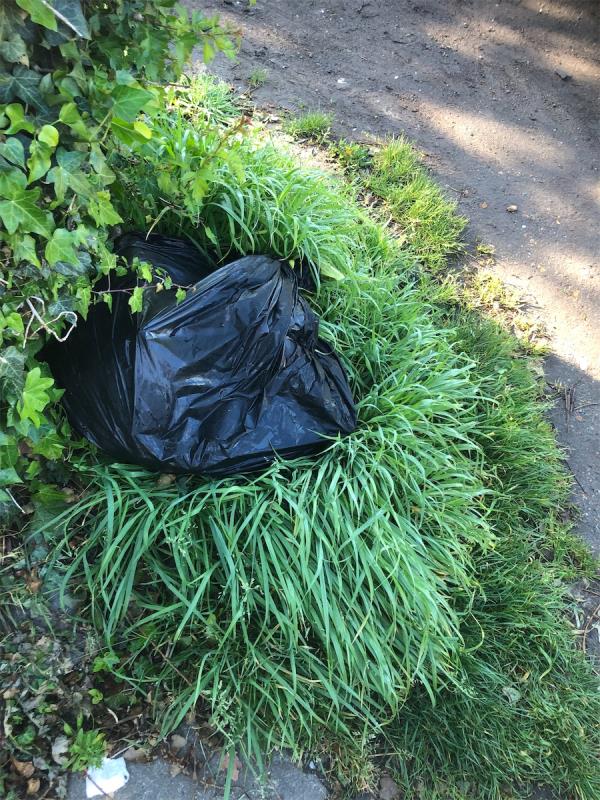 Junction of Elm Lane. Please clear a black bag of domestic waste-2 Bargrove Crescent, London, SE6 4LD