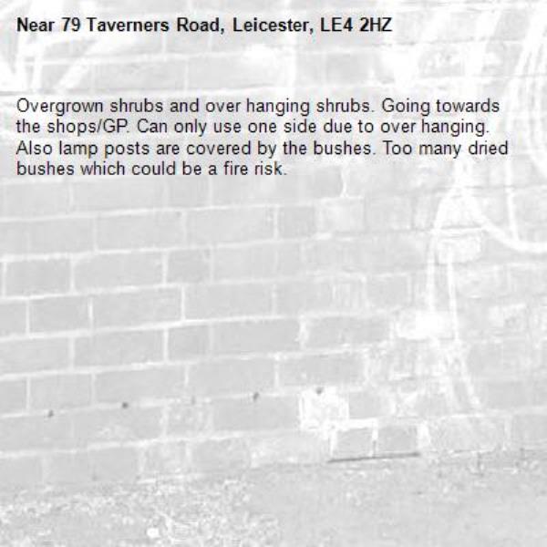 Overgrown shrubs and over hanging shrubs. Going towards the shops/GP. Can only use one side due to over hanging. Also lamp posts are covered by the bushes. Too many dried bushes which could be a fire risk. -79 Taverners Road, Leicester, LE4 2HZ
