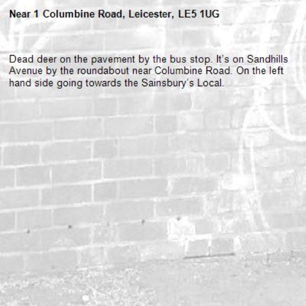 Dead deer on the pavement by the bus stop. It’s on Sandhills Avenue by the roundabout near Columbine Road. On the left hand side going towards the Sainsbury’s Local. -1 Columbine Road, Leicester, LE5 1UG