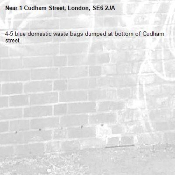 4-5 blue domestic waste bags dumped at bottom of Cudham street -1 Cudham Street, London, SE6 2JA