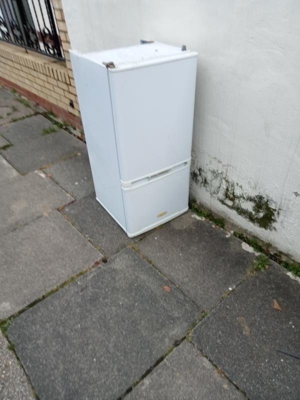 This is dumped outside 25 FIfth Avenue Manor Park,please can it be removed it's been there for over a week and this is the second time of reporting.-7 Fifth Avenue, Little Ilford, E12 6DA, England, United Kingdom