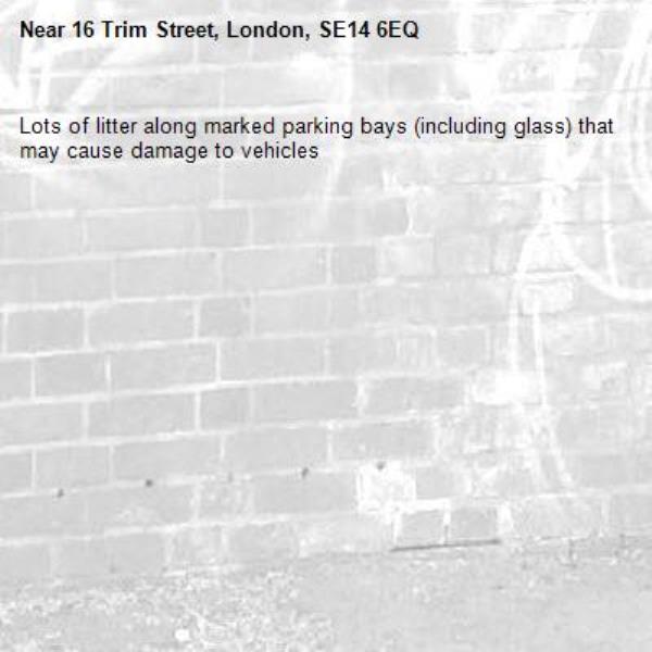 Lots of litter along marked parking bays (including glass) that may cause damage to vehicles-16 Trim Street, London, SE14 6EQ