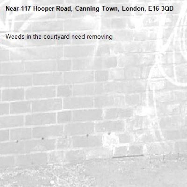 Weeds in the courtyard need removing -117 Hooper Road, Canning Town, London, E16 3QD