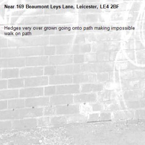 Hedges very over grown going onto path making impossible walk on path-169 Beaumont Leys Lane, Leicester, LE4 2BF