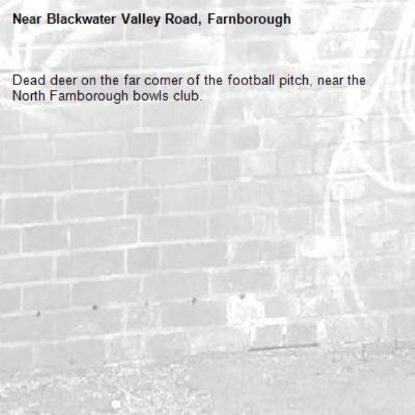 Dead deer on the far corner of the football pitch, near the North Farnborough bowls club.-Blackwater Valley Road, Farnborough