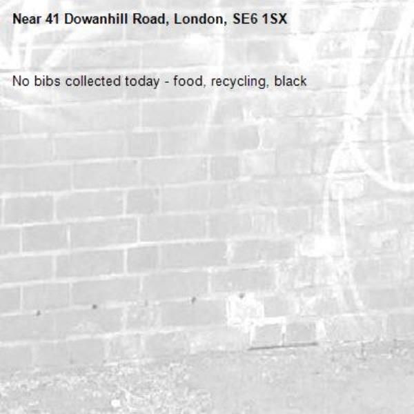 No bibs collected today - food, recycling, black -41 Dowanhill Road, London, SE6 1SX