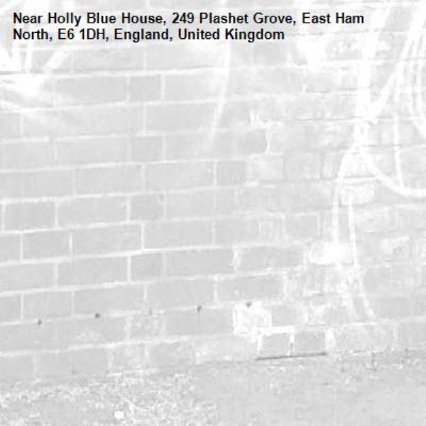 -Holly Blue House, 249 Plashet Grove, East Ham North, E6 1DH, England, United Kingdom
