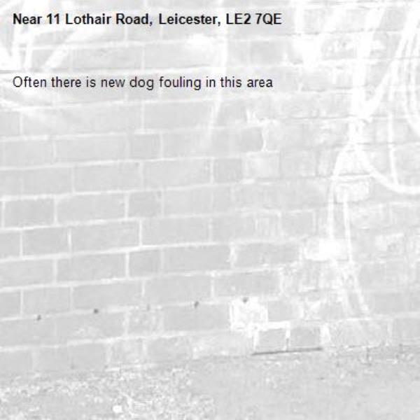 Often there is new dog fouling in this area-11 Lothair Road, Leicester, LE2 7QE
