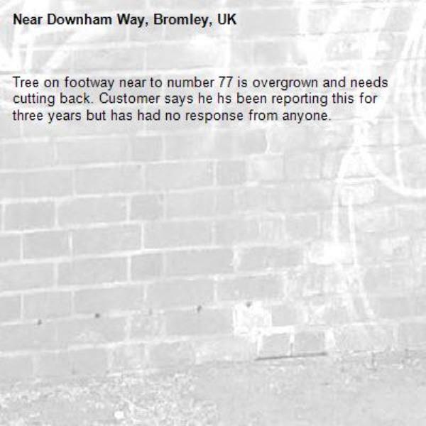 Tree on footway near to number 77 is overgrown and needs cutting back. Customer says he hs been reporting this for three years but has had no response from anyone. -Downham Way, Bromley, UK