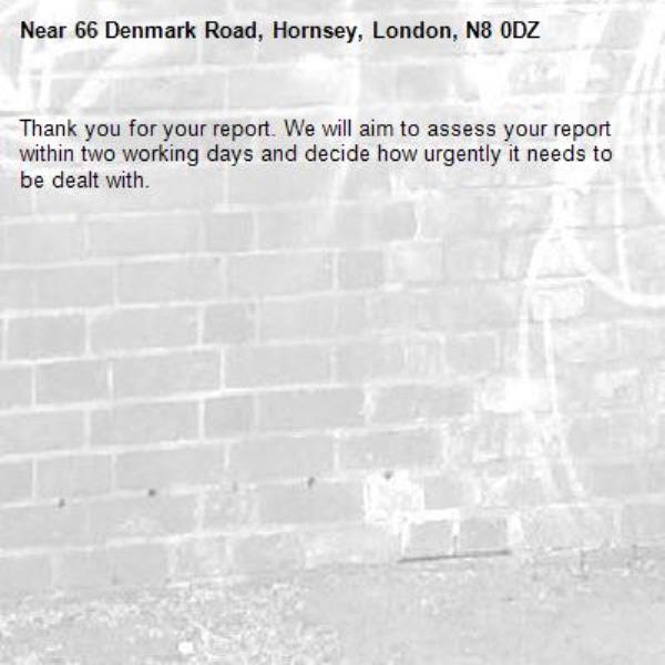 Thank you for your report. We will aim to assess your report within two working days and decide how urgently it needs to be dealt with.-66 Denmark Road, Hornsey, London, N8 0DZ
