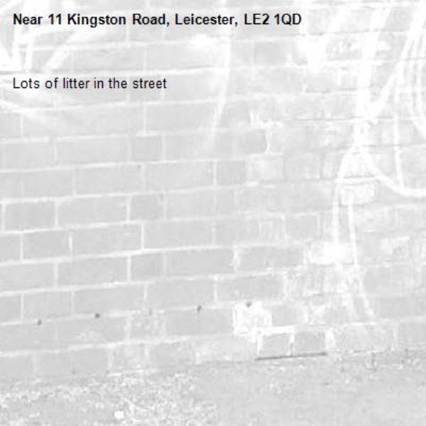 Lots of litter in the street-11 Kingston Road, Leicester, LE2 1QD