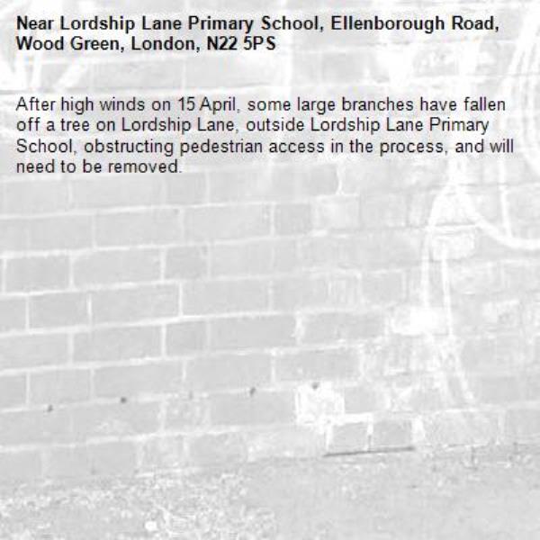 After high winds on 15 April, some large branches have fallen off a tree on Lordship Lane, outside Lordship Lane Primary School, obstructing pedestrian access in the process, and will need to be removed.-Lordship Lane Primary School, Ellenborough Road, Wood Green, London, N22 5PS