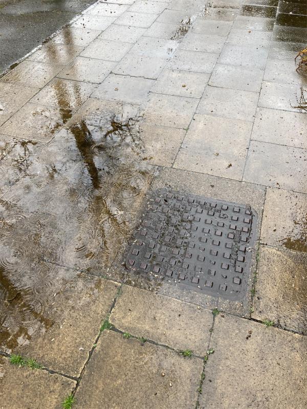 Overflowing sewage drain-Flamingo Court, Hamilton Street, London, SE8 5PX