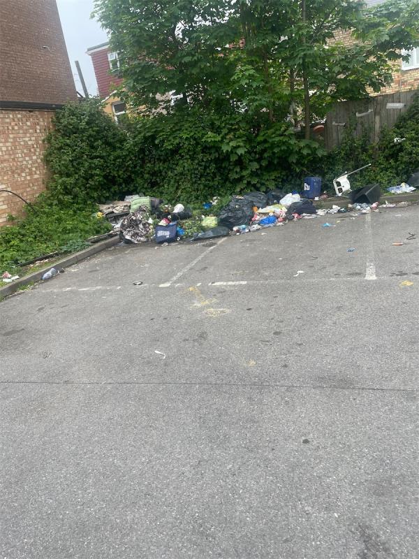 Household waste
In carpark-Rions Naan And Chai, 291 Barking Road, East Ham, London, E6 1LB