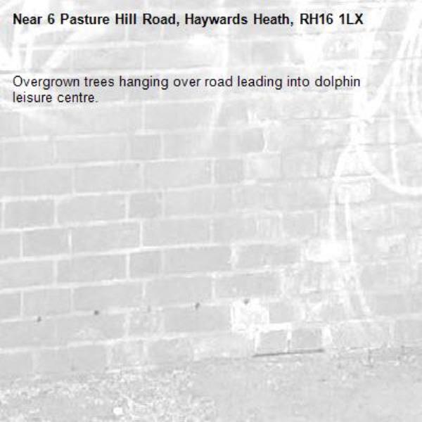 Overgrown trees hanging over road leading into dolphin leisure centre. -6 Pasture Hill Road, Haywards Heath, RH16 1LX