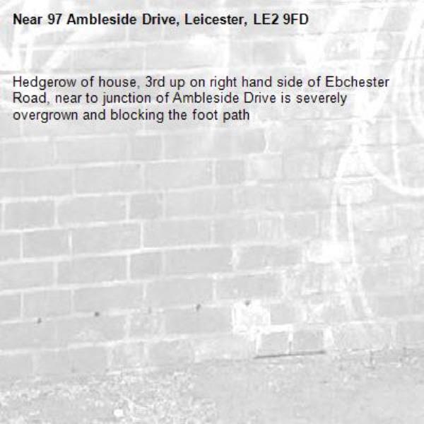 Hedgerow of house, 3rd up on right hand side of Ebchester Road, near to junction of Ambleside Drive is severely overgrown and blocking the foot path -97 Ambleside Drive, Leicester, LE2 9FD