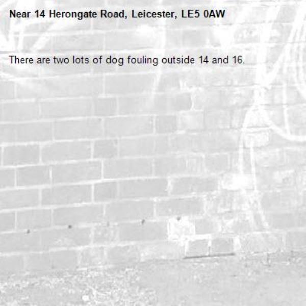There are two lots of dog fouling outside 14 and 16. -14 Herongate Road, Leicester, LE5 0AW