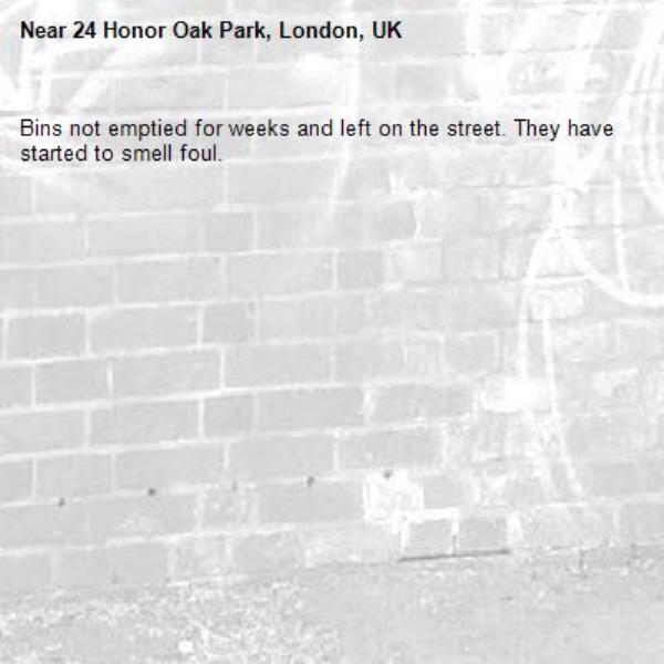 Bins not emptied for weeks and left on the street. They have started to smell foul. -24 Honor Oak Park, London, UK
