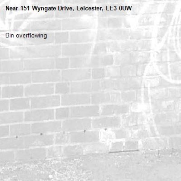 Bin overflowing -151 Wyngate Drive, Leicester, LE3 0UW