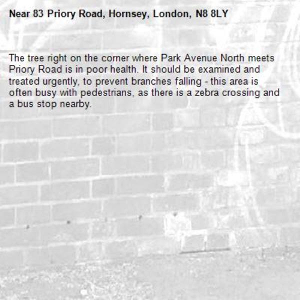 The tree right on the corner where Park Avenue North meets Priory Road is in poor health. It should be examined and treated urgently, to prevent branches falling - this area is often busy with pedestrians, as there is a zebra crossing and a bus stop nearby.-83 Priory Road, Hornsey, London, N8 8LY