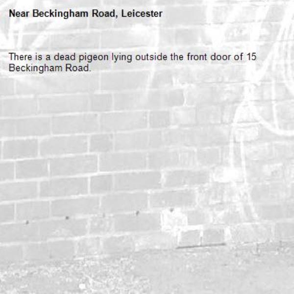 There is a dead pigeon lying outside the front door of 15 Beckingham Road.-Beckingham Road, Leicester