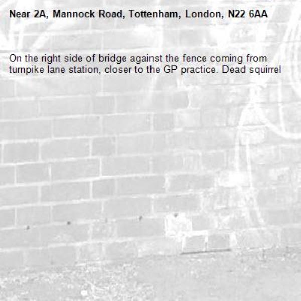 On the right side of bridge against the fence coming from turnpike lane station, closer to the GP practice. Dead squirrel -2A, Mannock Road, Tottenham, London, N22 6AA