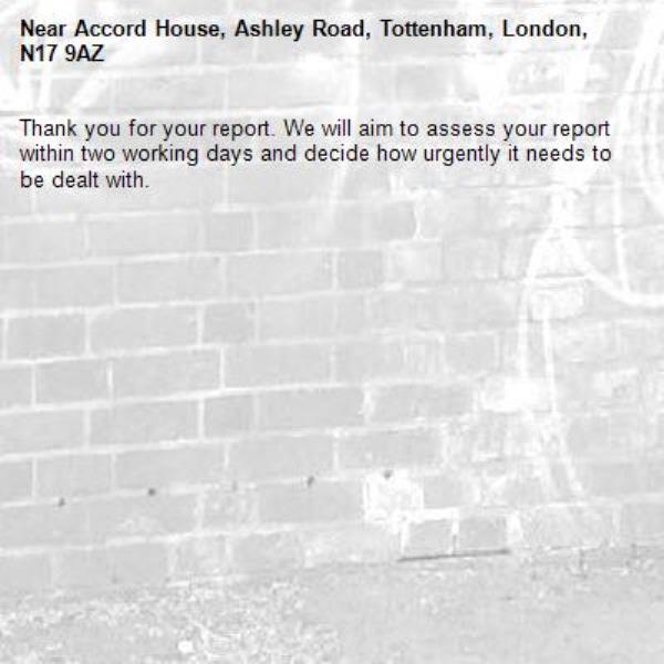 Thank you for your report. We will aim to assess your report within two working days and decide how urgently it needs to be dealt with.-Accord House, Ashley Road, Tottenham, London, N17 9AZ