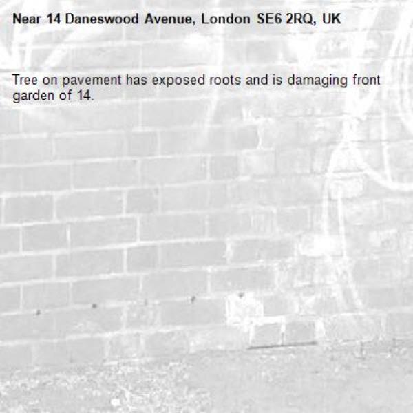 Tree on pavement has exposed roots and is damaging front garden of 14.-14 Daneswood Avenue, London SE6 2RQ, UK