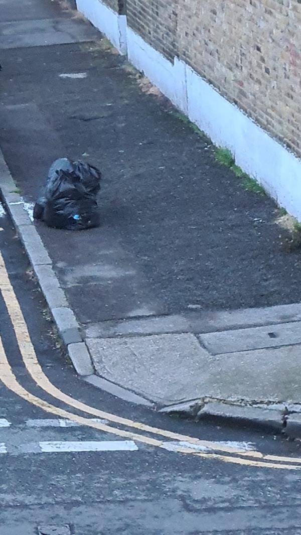 Black bags -99 Grangewood Street, East Ham, London, E6 1HB