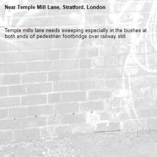 Temple mills lane needs sweeping especially in the bushes at both ends of pedestrian footbridge over railway still -Temple Mill Lane, Stratford, London