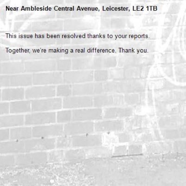 This issue has been resolved thanks to your reports.

Together, we’re making a real difference. Thank you.
-Ambleside Central Avenue, Leicester, LE2 1TB