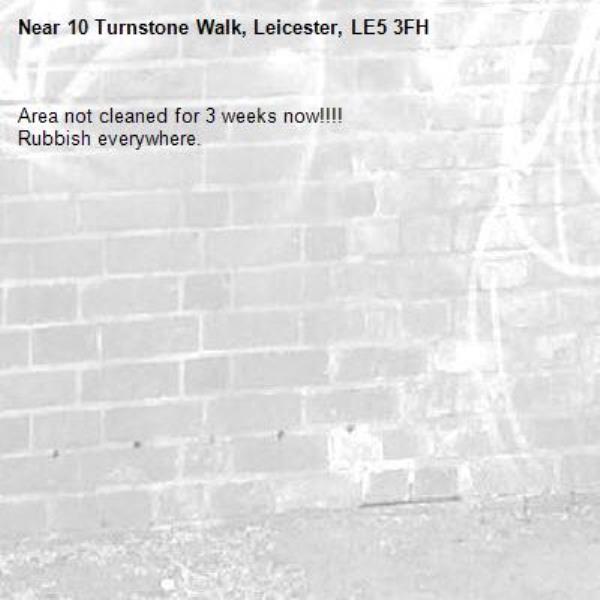 Area not cleaned for 3 weeks now!!!!
Rubbish everywhere.-10 Turnstone Walk, Leicester, LE5 3FH