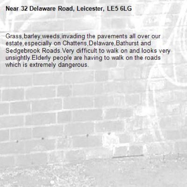 Grass,barley,weeds,invading the pavements all over our estate,especially on Chatteris,Delaware,Bathurst and Sedgebrook Roads.Very difficult to walk on and looks very unsightly.Elderly people are having to walk on the roads which is extremely dangerous.-32 Delaware Road, Leicester, LE5 6LG