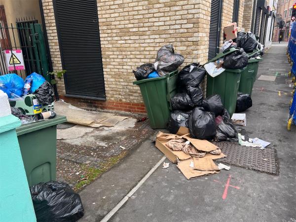 Bins overflowing for days with an horrendous stench please investigate and clean this Filth. -Public Toilets Corner Of Ron Leighton Way, Clements Road, East Ham, London, E6 2HT