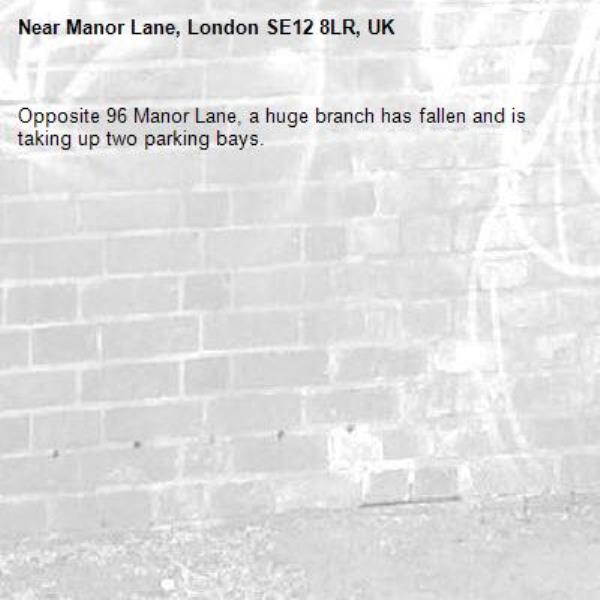 Opposite 96 Manor Lane, a huge branch has fallen and is taking up two parking bays.-Manor Lane, London SE12 8LR, UK