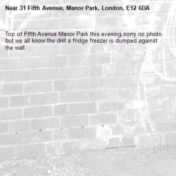 Top of FIfth Avenue Manor Park this evening,sorry no photo but we all know the drill a fridge freezer is dumped against the wall.-31 Fifth Avenue, Manor Park, London, E12 6DA