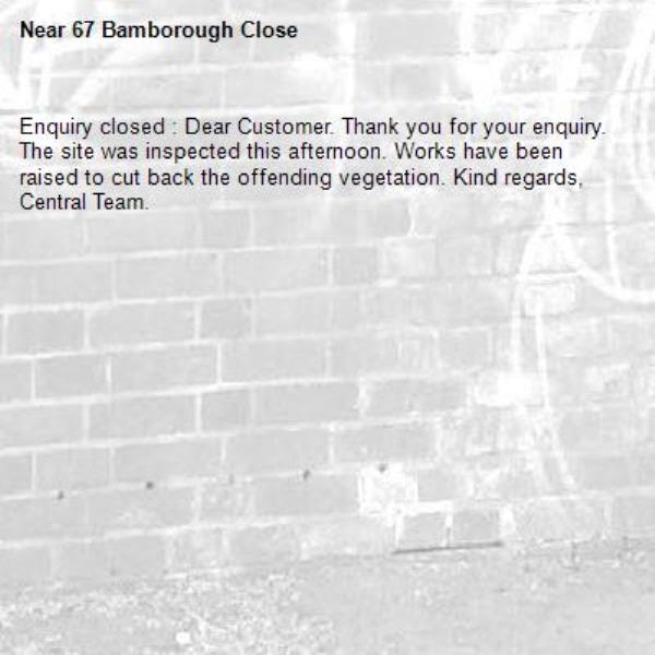 Enquiry closed : Dear Customer. Thank you for your enquiry. The site was inspected this afternoon. Works have been raised to cut back the offending vegetation. Kind regards, Central Team.-67 Bamborough Close