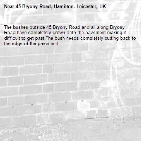 The bushes outside 45 Bryony Road and all along Bryony Road have completely grown onto the pavement making it difficult to get past.The bush needs completely cutting back to the edge of the pavement.-45 Bryony Road, Hamilton, Leicester, UK