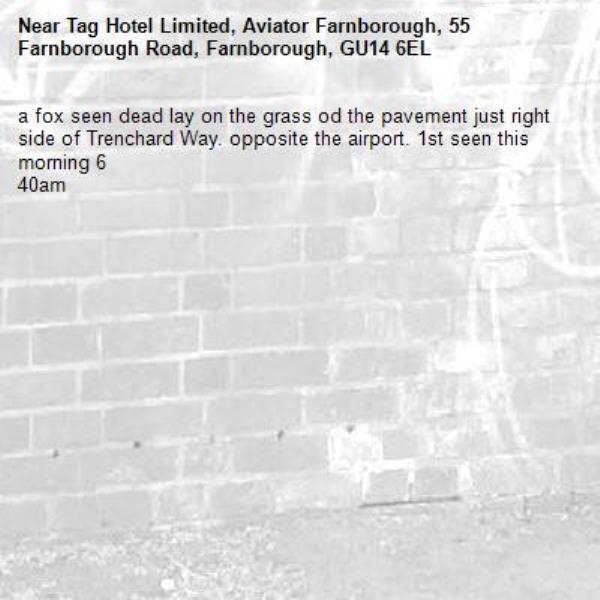 a fox seen dead lay on the grass od the pavement just right side of Trenchard Way. opposite the airport. 1st seen this morning 6
40am-Tag Hotel Limited, Aviator Farnborough, 55 Farnborough Road, Farnborough, GU14 6EL