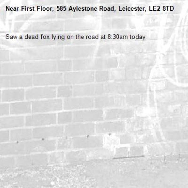 Saw a dead fox lying on the road at 8:30am today-First Floor, 585 Aylestone Road, Leicester, LE2 8TD