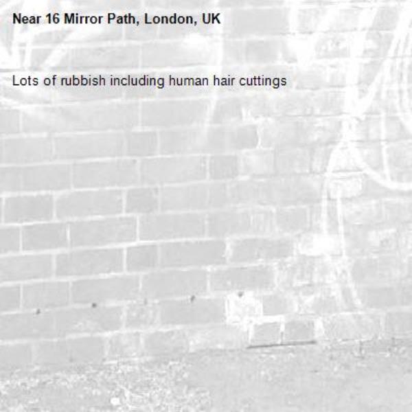 Lots of rubbish including human hair cuttings-16 Mirror Path, London, UK