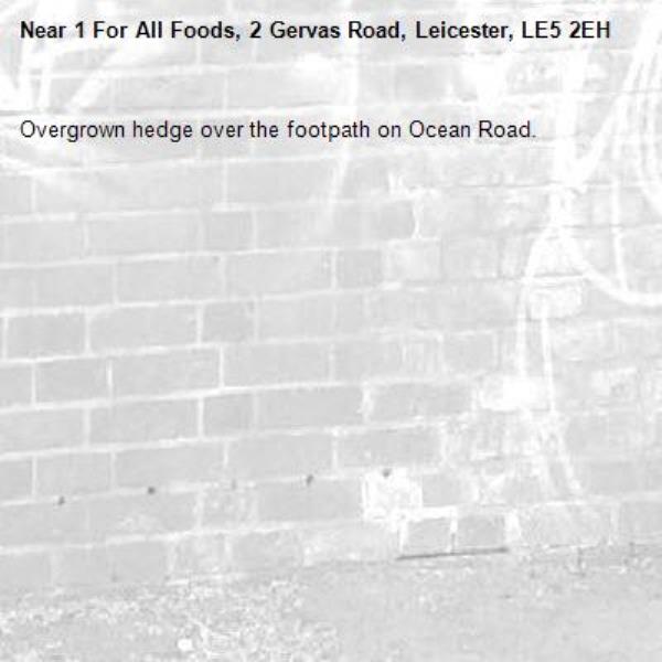 Overgrown hedge over the footpath on Ocean Road.-1 For All Foods, 2 Gervas Road, Leicester, LE5 2EH