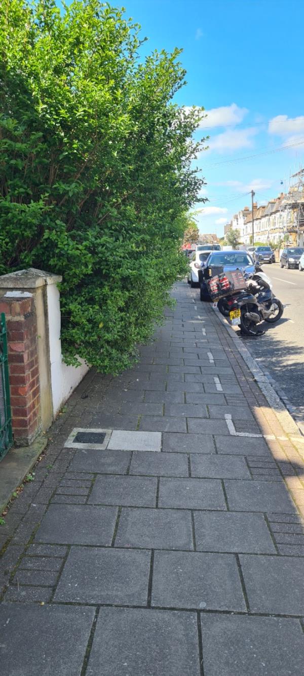 Hedge blocking pavement.-Flat 1, 136 Longley Road, London, SW17 9LH
