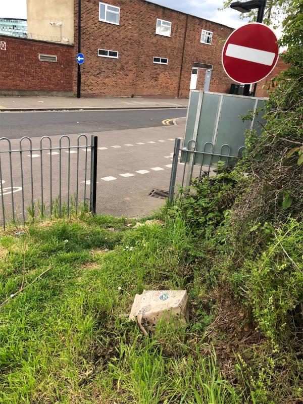 Litter in park and missing fence-167 Chobham Road, Stratford, London, E15 1LY