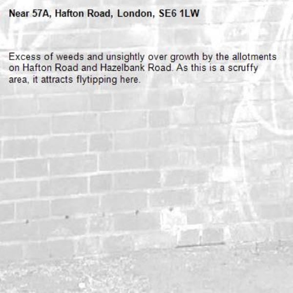 Excess of weeds and unsightly over growth by the allotments on Hafton Road and Hazelbank Road. As this is a scruffy area, it attracts flytipping here.  -57A, Hafton Road, London, SE6 1LW