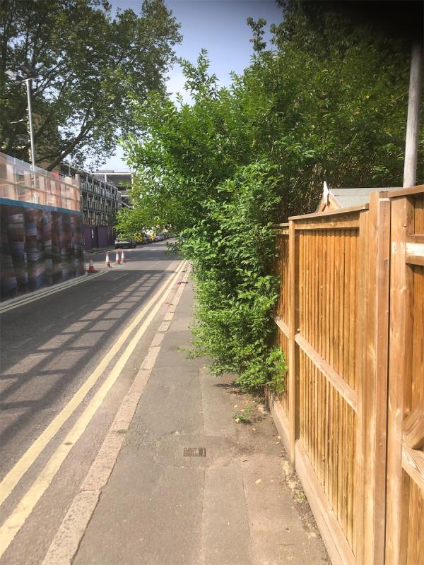 2-32 . Hedge on Chilton Grove Side of block is obstructing the Footpath-14 Yeoman Street, London, SE8 5DT