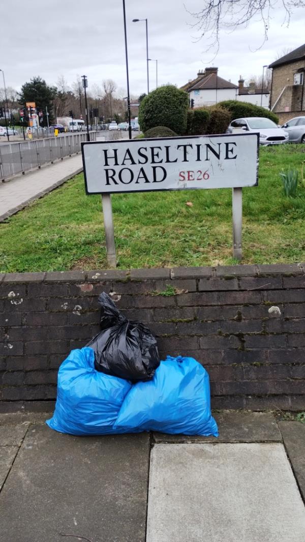 3 litter pick bags for collection -School House, Haseltine Road, London, SE26 5AD