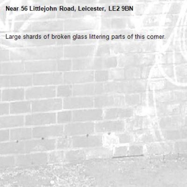 Large shards of broken glass littering parts of this corner.-56 Littlejohn Road, Leicester, LE2 9BN